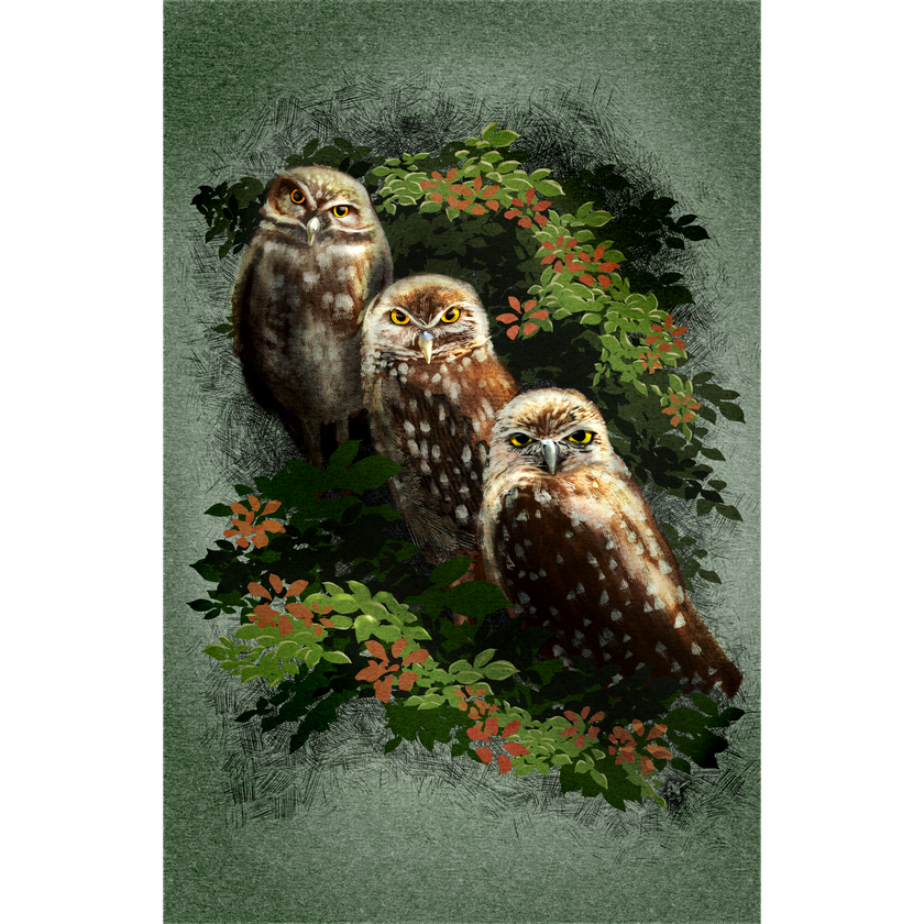 Three owls surrounded by foliage on a textured green background