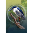Night Heron 11x17