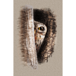 Artistic depiction of an owl's face with a textured background