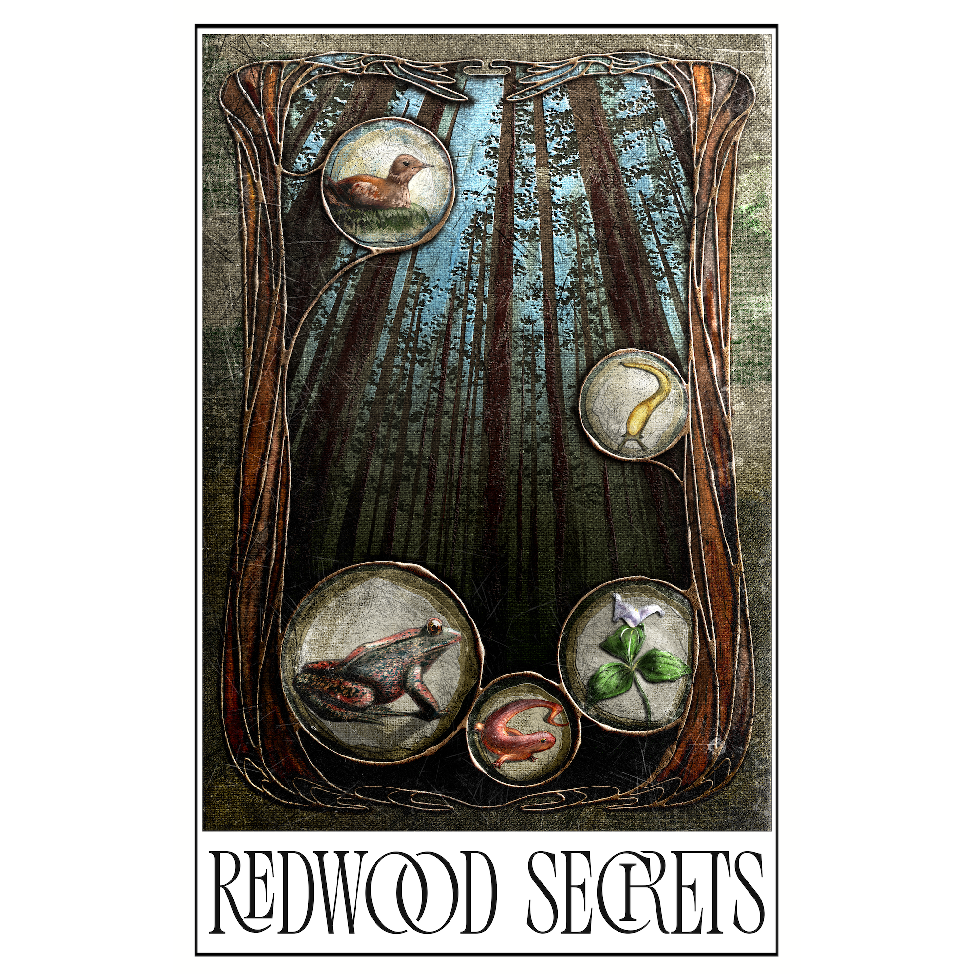 Redwood Secrets 11x17
