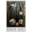 Redwood Secrets 11x17