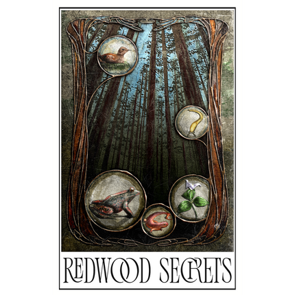Redwood Secrets 11x17