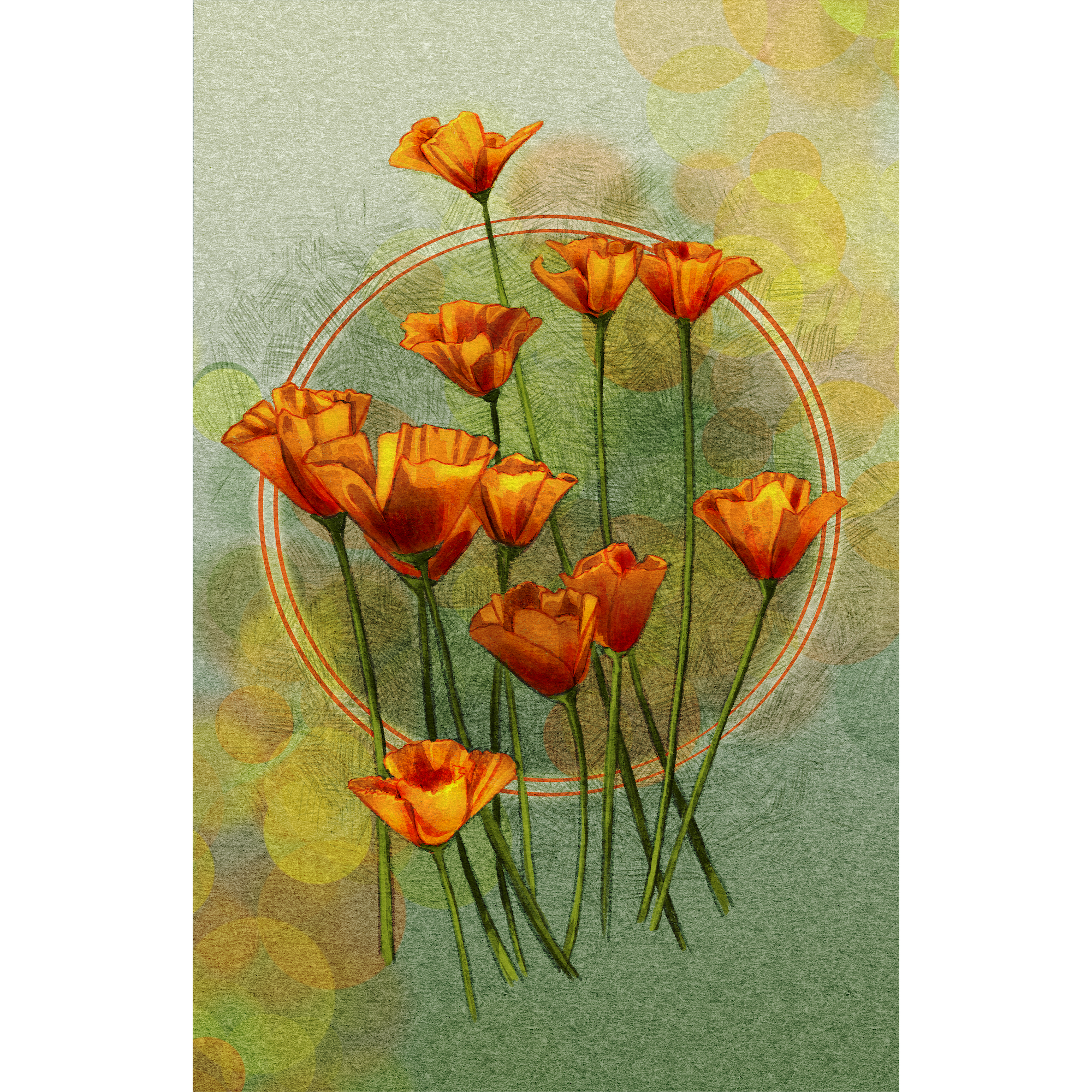 Illustrated California Poppies Bouquet 11x17