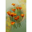 Illustrated California Poppies Bouquet 11x17