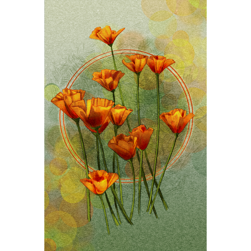 Illustrated California Poppies Bouquet 11x17