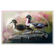An art print depicting two wood ducks standing on a log against a soft, colorful bokeh background. The print is presented with a thin decorative border on a white background.