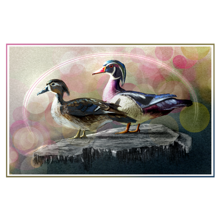 An art print depicting two wood ducks standing on a log against a soft, colorful bokeh background. The print is presented with a thin decorative border on a white background.