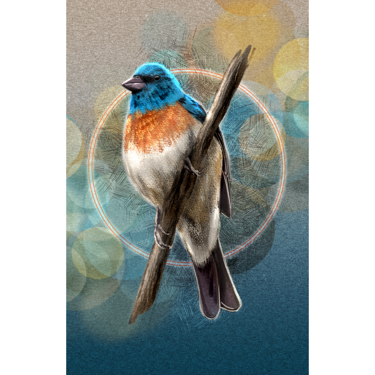 A stylized bird illustration perched on a branch, with a blue head, bright orange chest, white belly, and gray-brown wings, set against an abstract teal and gold background with circular bokeh-like shapes.
