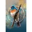 A stylized bird illustration perched on a branch, with a blue head, bright orange chest, white belly, and gray-brown wings, set against an abstract teal and gold background with circular bokeh-like shapes.