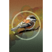 A textured stylized print of a bird, perched on a branch with orange, green, and gold coloration behind it on a paper-like background.