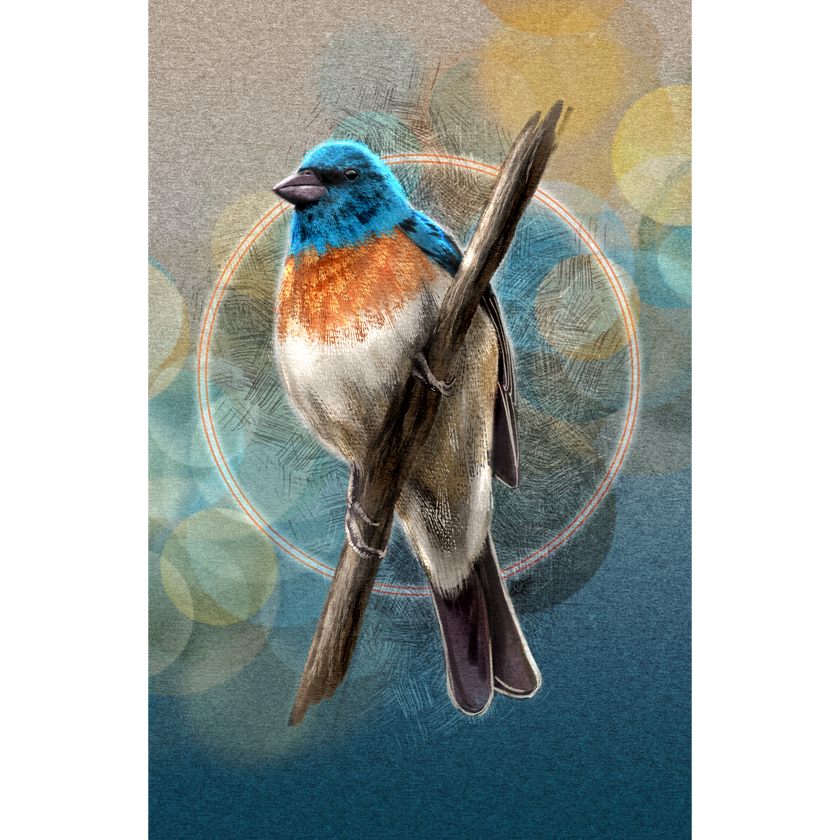A stylized bird illustration perched on a branch, with a blue head, bright orange chest, white belly, and gray-brown wings, set against an abstract teal and gold background with circular bokeh-like shapes.