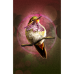 Hummingbird perched on a branch with a pink circular light effect