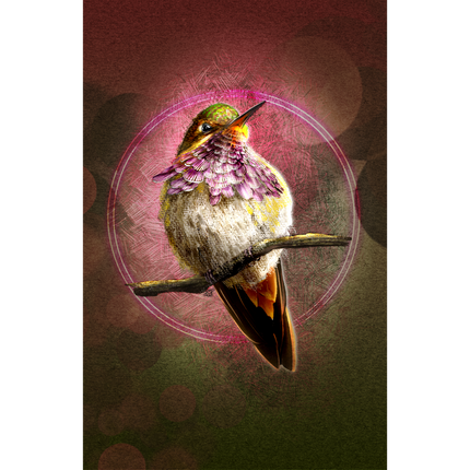Hummingbird perched on a branch with a pink circular light effect