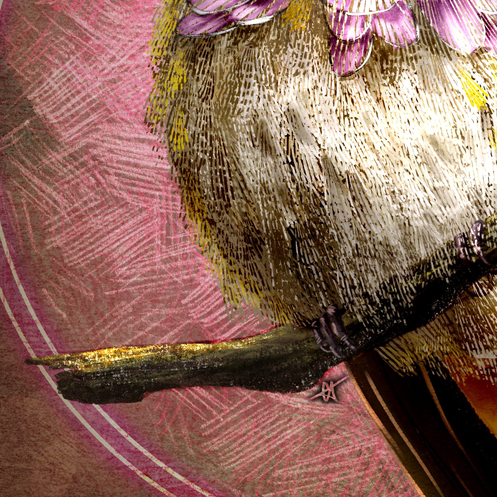 Illustration of a bird on a branch with a pink floral background