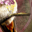 Close-up of a textured surface with the underside of a hummingbird perched on a branch