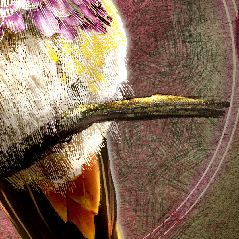 Close-up of a textured surface with the underside of a hummingbird perched on a branch