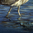 Close-up of a bird's legs wading in water with a blue and brown color scheme.