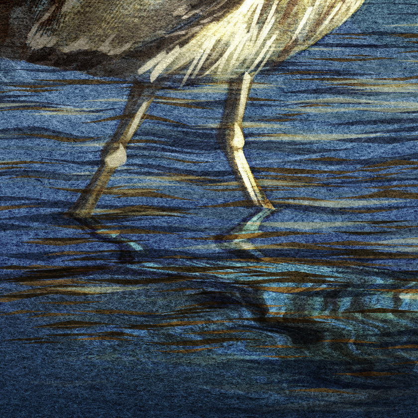 Close-up of a bird's legs wading in water with a blue and brown color scheme.