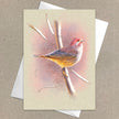Greeting card with a bird illustration on a beige background