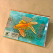 Boxed set of greeting card with a goldfish illustration on a textured background