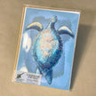Boxed pack of greeting cards with a blue turtle design on a beige background