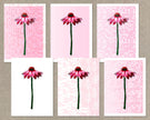Set of six pink flower prints on a textured beige background