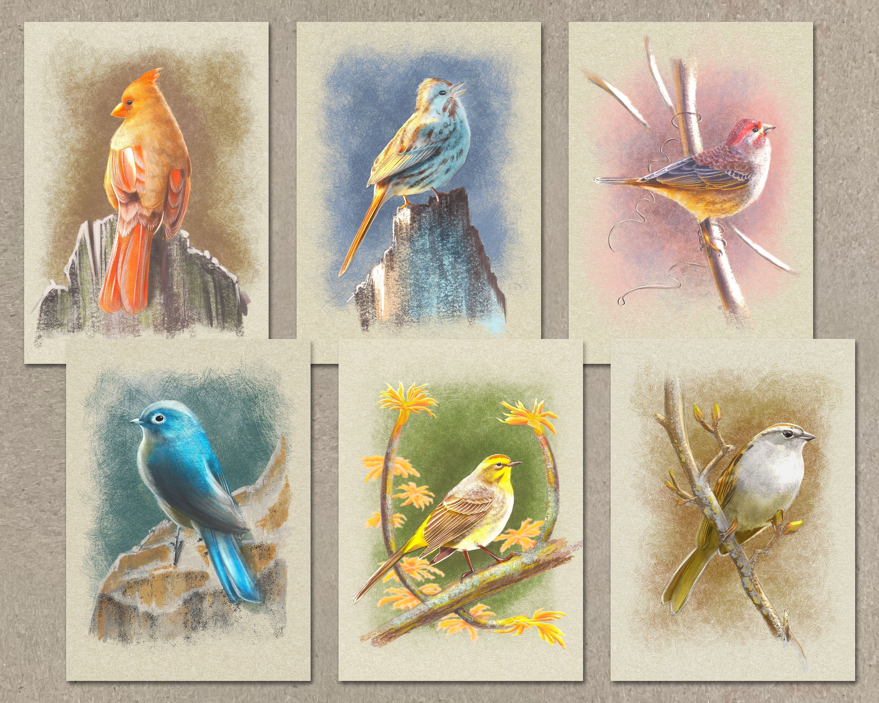 Set of six cards with watercolor illustrations of birds on natural backgrounds.