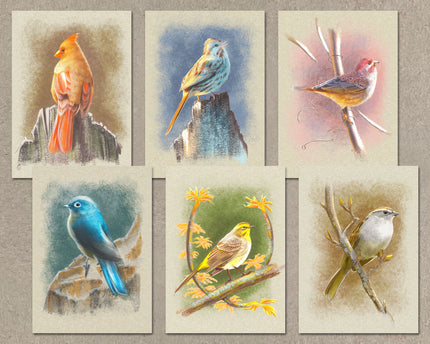 Set of six cards with watercolor illustrations of birds on natural backgrounds.