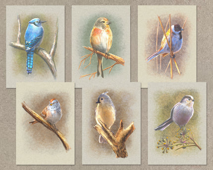 Set of six illustrations of birds on branches and stems with a textured beige background.
