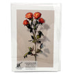 Set of greeting cards with an artistic depiction of red roses on a beige background within a clear plastic package.
