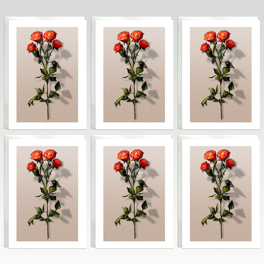 Red Rose Boxed Greeting Card Pack