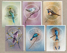 Set of six cards with illustrations of birds on branches against colorful circular backgrounds.