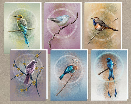 Set of six cards with illustrations of birds on branches against colorful circular backgrounds.