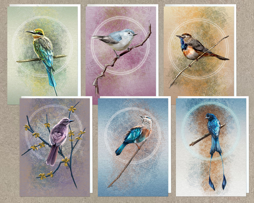 Set of six cards with illustrations of birds on branches against colorful circular backgrounds.