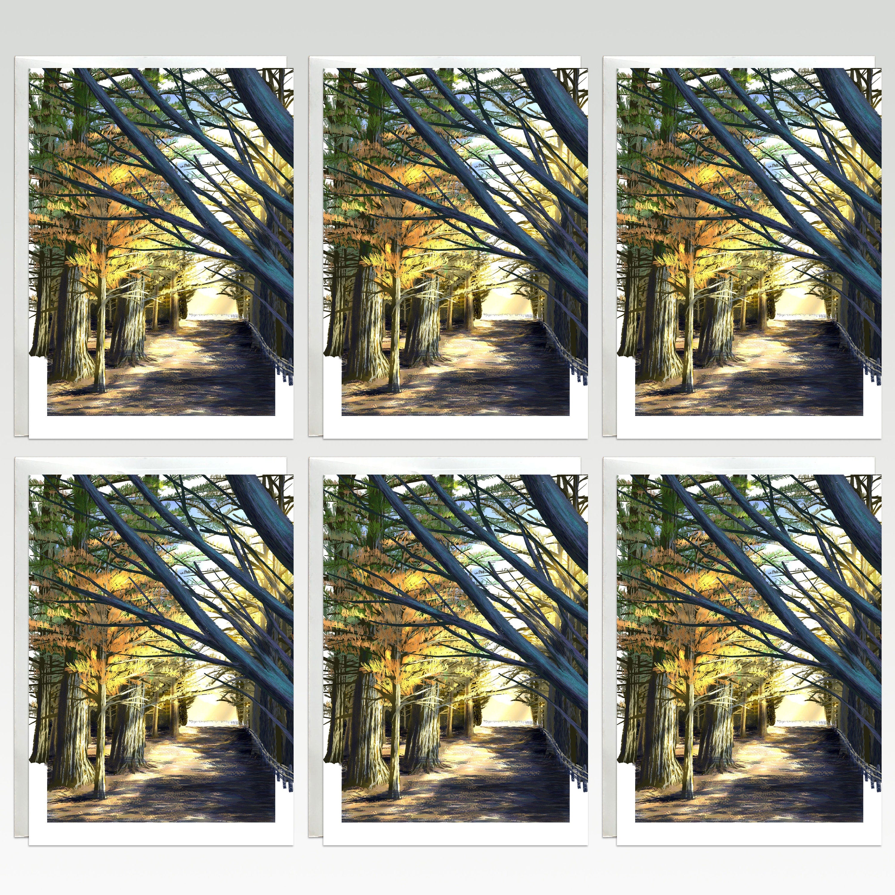 Six-panel view of a tree-lined path with sunlight filtering through the branches.