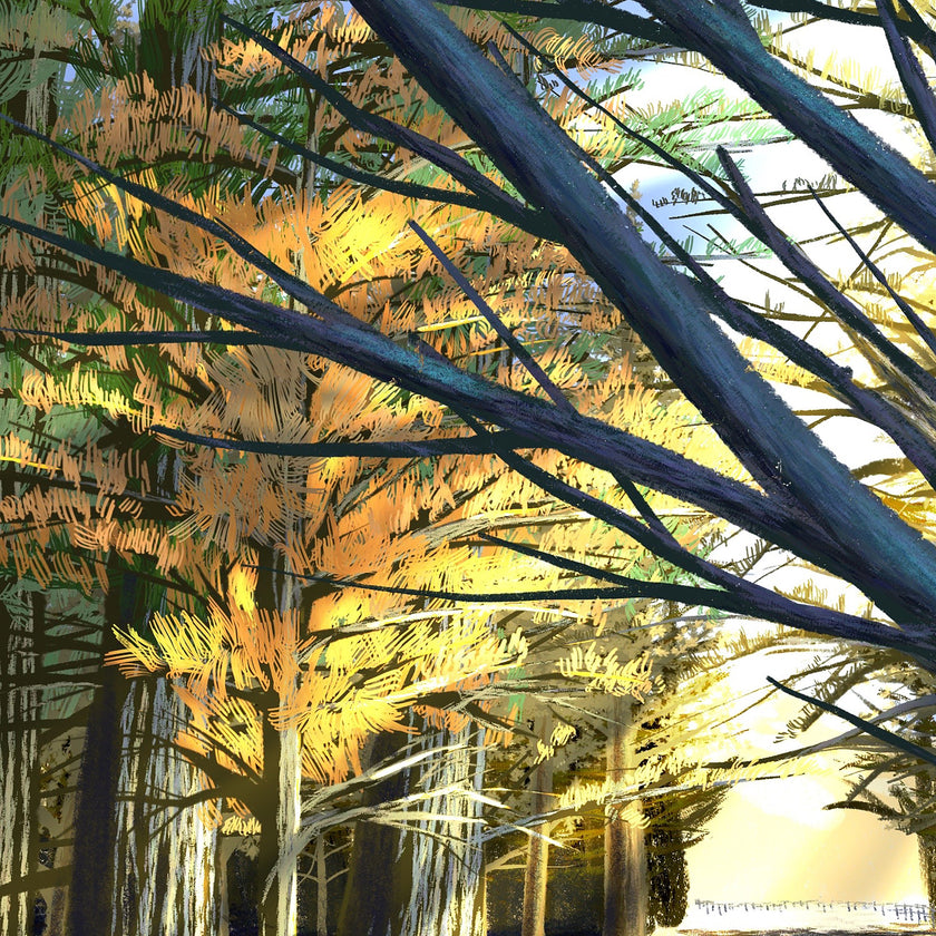 Close-up of palm tree fronds with a blurred background