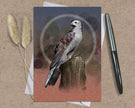 Goshawk Single Greeting Card
