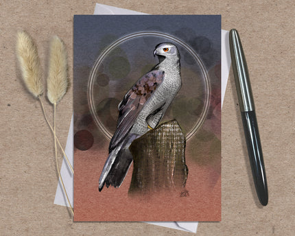 Goshawk Single Greeting Card