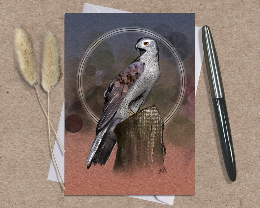 Goshawk Single Greeting Card
