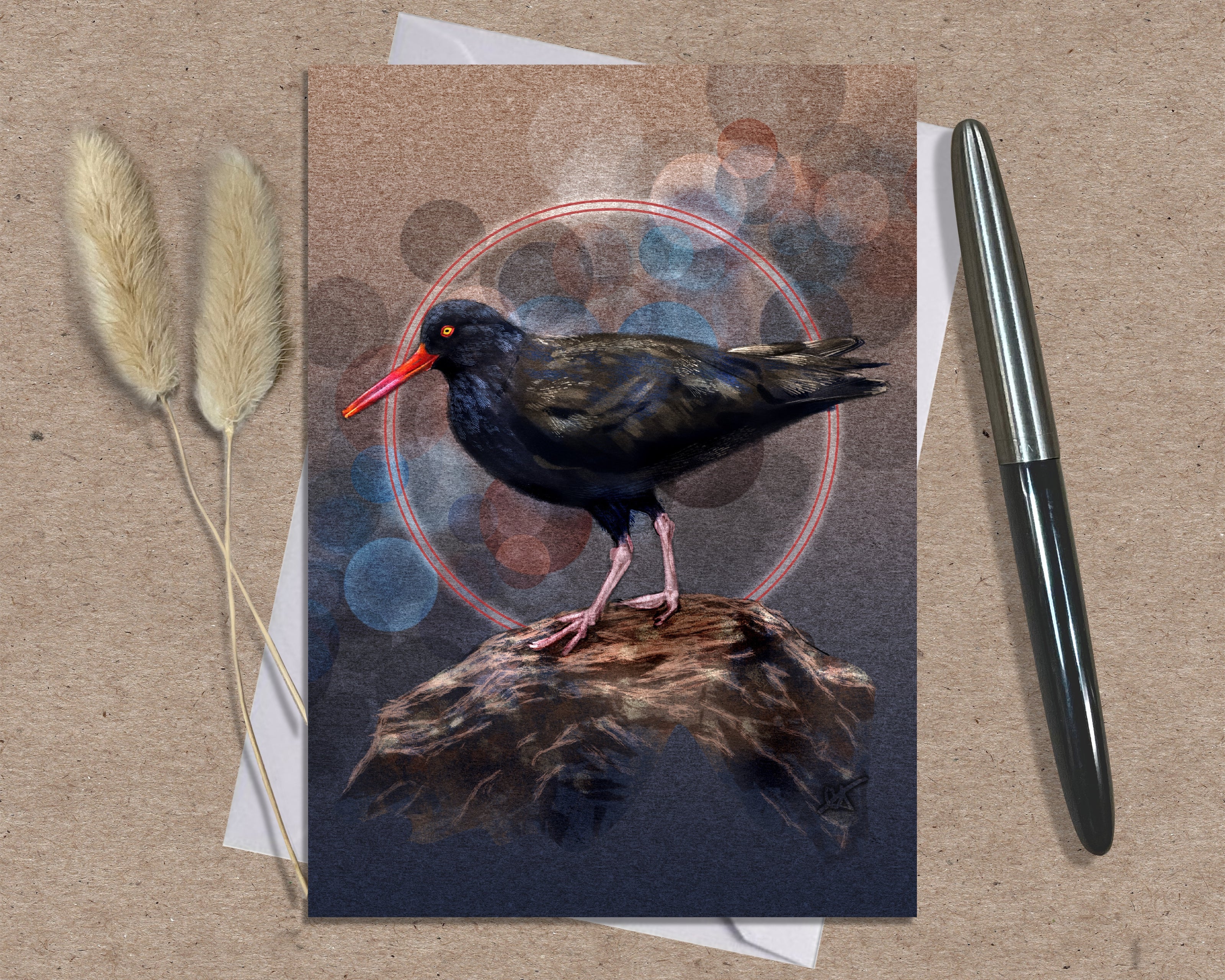 Black Oystercatcher Single Greeting Card