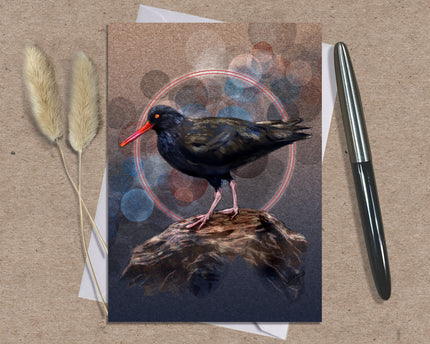 Black Oystercatcher Single Greeting Card