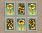 Set of six floral cards with sunflowers on a textured brown background