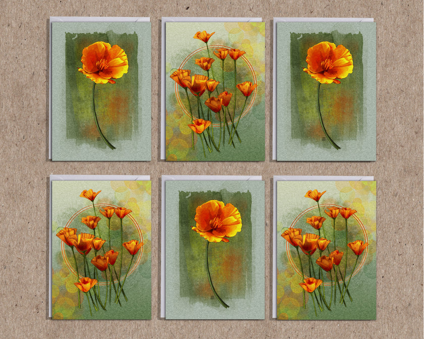 Set of six floral greeting cards with orange flowers on a textured beige background
