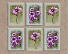 Set of six greeting cards with purple flowers on a textured brown background